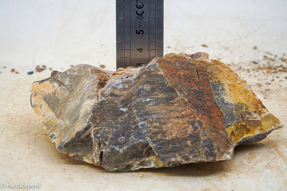 Petrified Wood S89 - Hardscape.nl