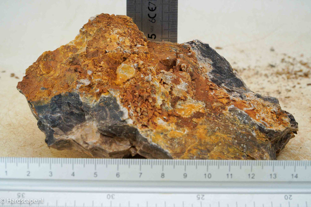 Petrified Wood S89 - Hardscape.nl