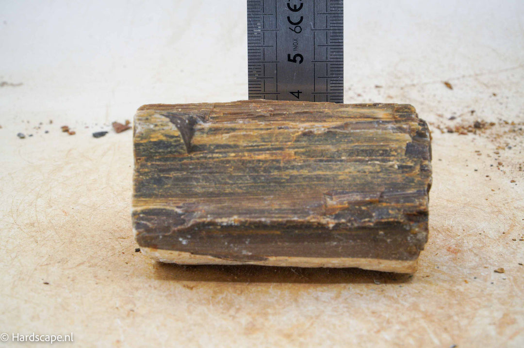 Petrified Wood S95 - Hardscape.nl