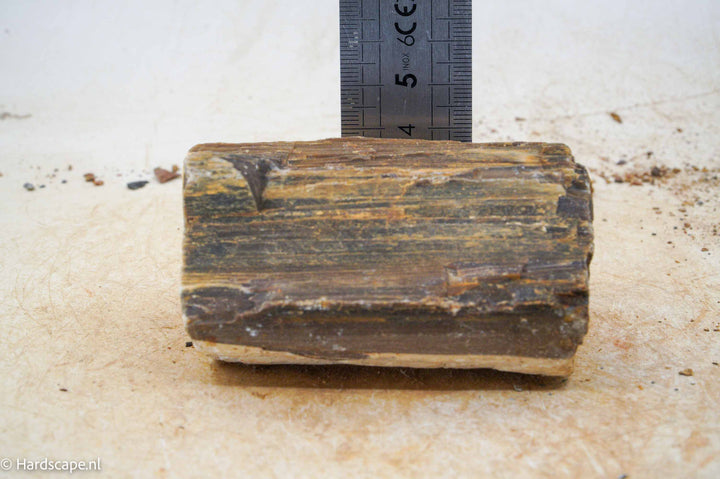 Petrified Wood S95 - Hardscape.nl