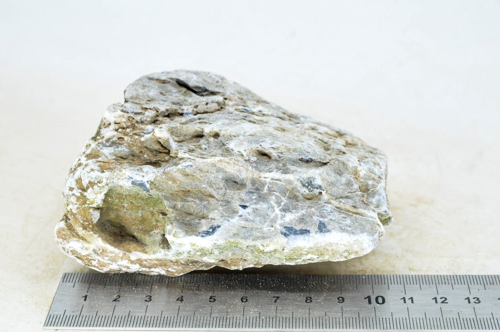 Seiryu Rock S109 - Hardscape.nl