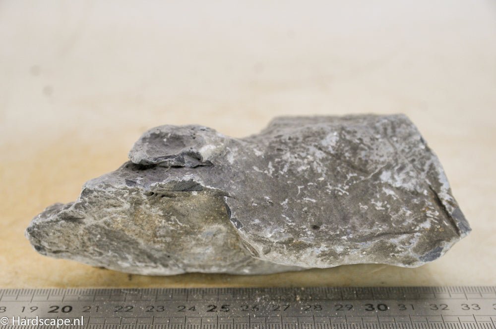 Seiryu Rock S201 - Hardscape.nl