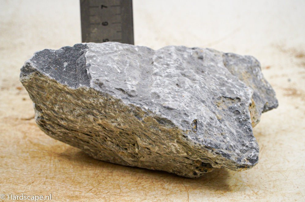 Seiryu Rock S210 - Hardscape.nl