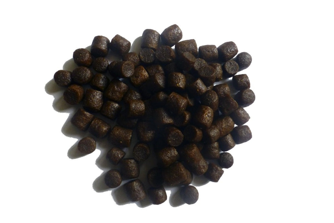 Dr. Bassleer Biofish Food Better Tabs - Hardscape.nl