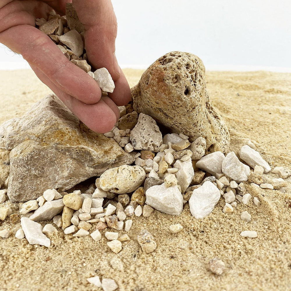 Wio accent Pale - Hardscape.nl