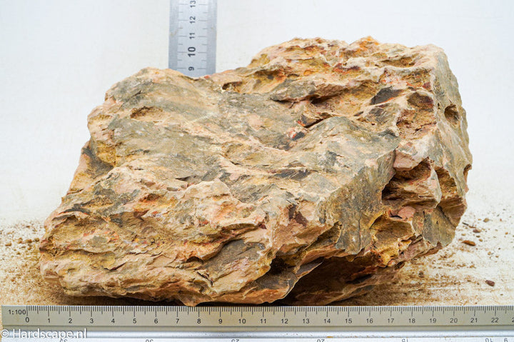 Dragon Stone XXL123 - Hardscape.nl