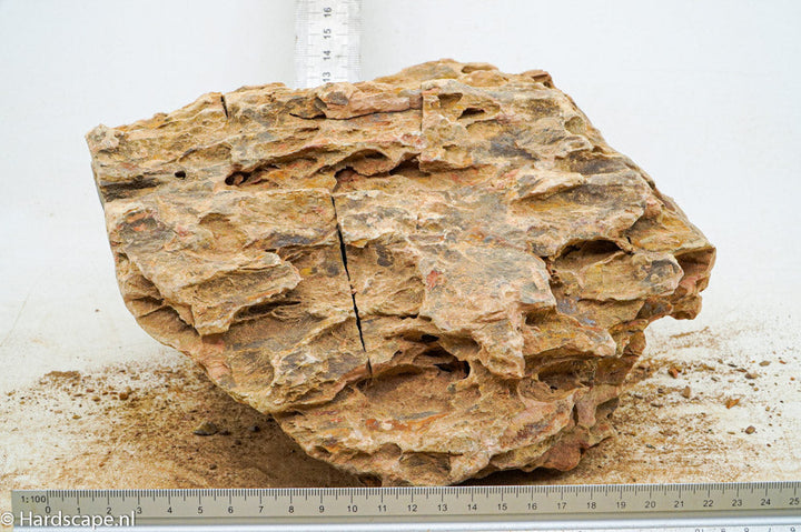 Dragon Stone XXL126 - Hardscape.nl