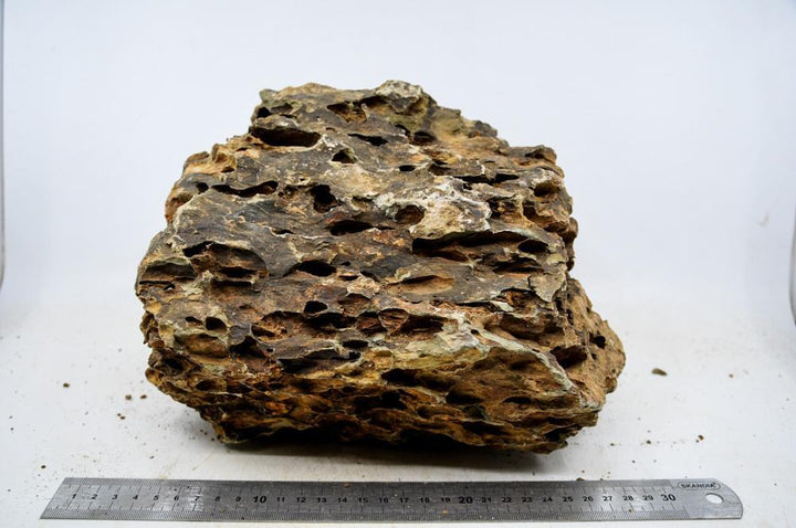 Dragon Stone XXL22 - Hardscape.nl
