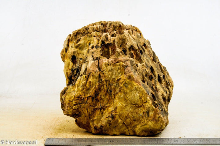 Dragon Stone XXL75 - Hardscape.nl