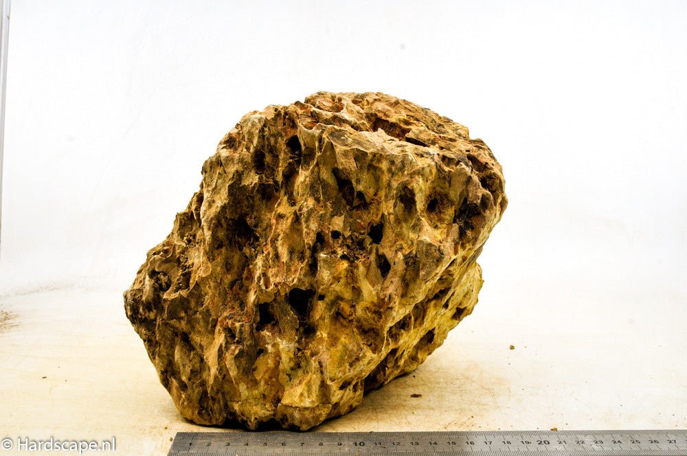 Dragon Stone XXL75 - Hardscape.nl