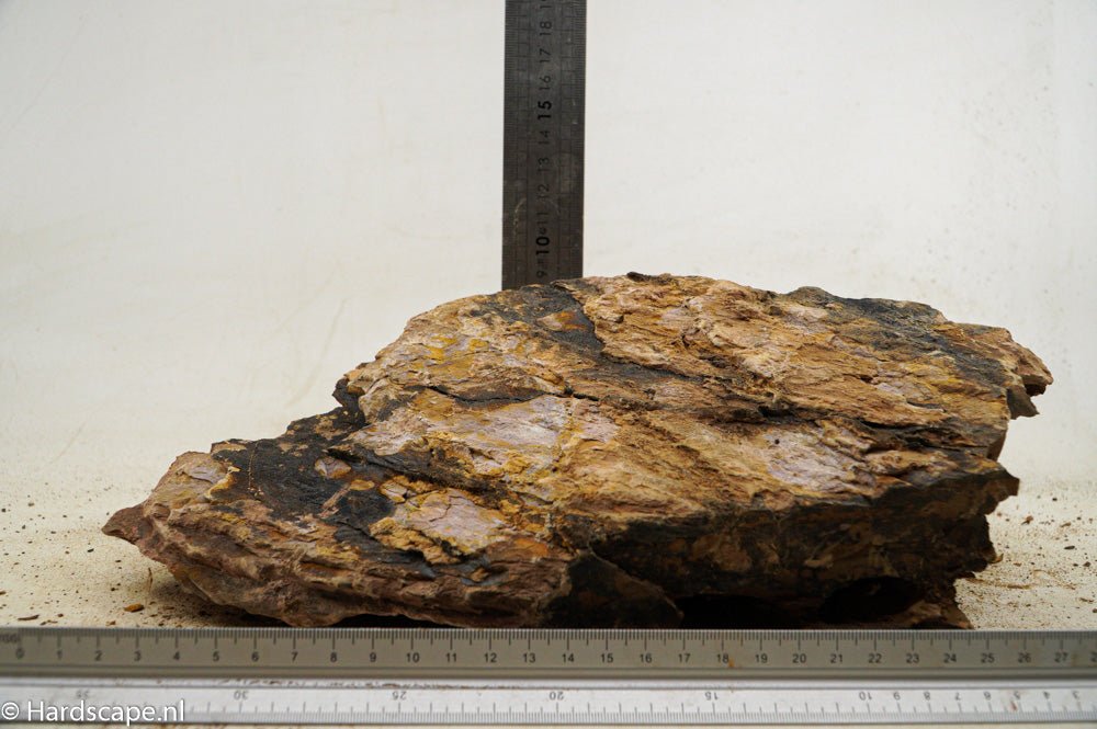 Dragon Stone XXL93 - Hardscape.nl