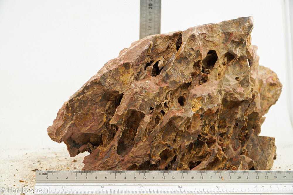 Dragon Stone XXL93 - Hardscape.nl
