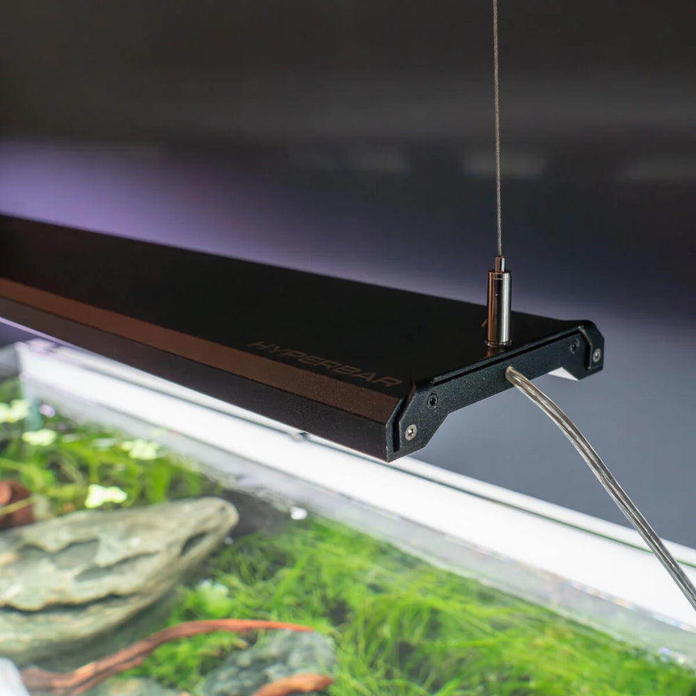 Skylight Hyperbar - Hardscape.nl