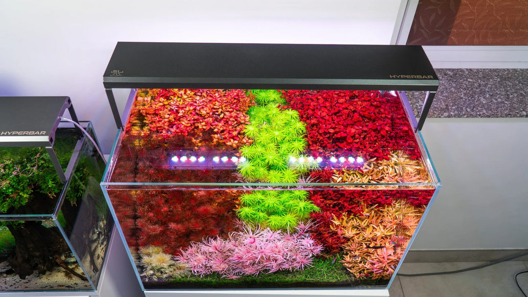 Skylight Hyperbar FS30 - Hardscape.nl