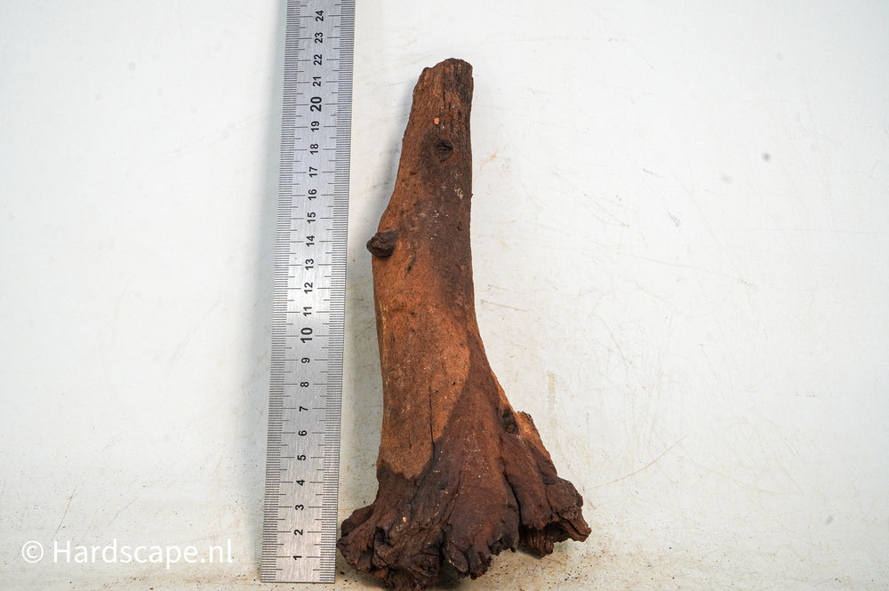 Mopani Hout 100 - Hardscape.nl