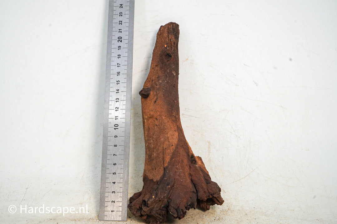 Mopani Hout 100 - Hardscape.nl