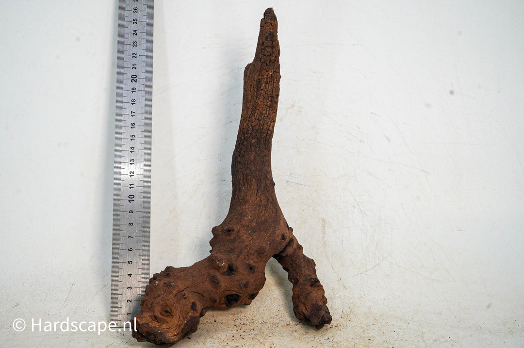 Mopani Hout 101 - Hardscape.nl