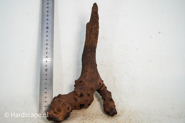 Mopani Hout 101 - Hardscape.nl