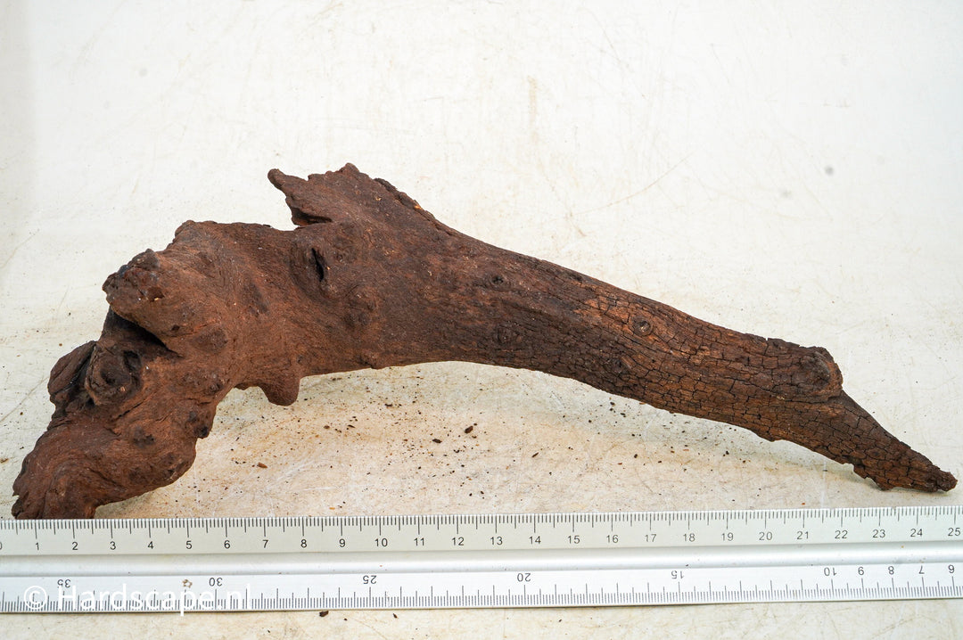 Mopani Hout 101 - Hardscape.nl