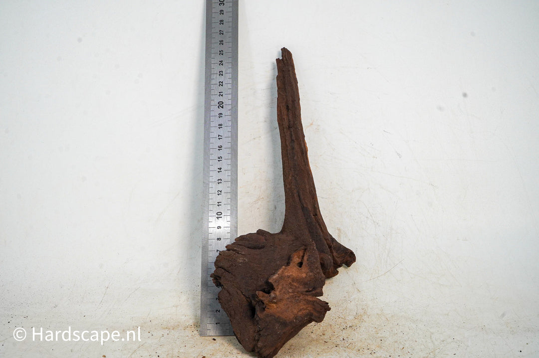 Mopani Hout 102 - Hardscape.nl