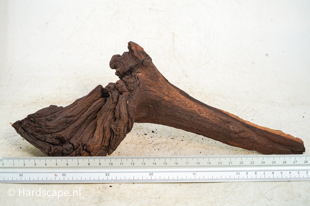 Mopani Hout 102 - Hardscape.nl