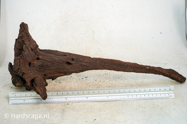 Mopani Hout 103 - Hardscape.nl