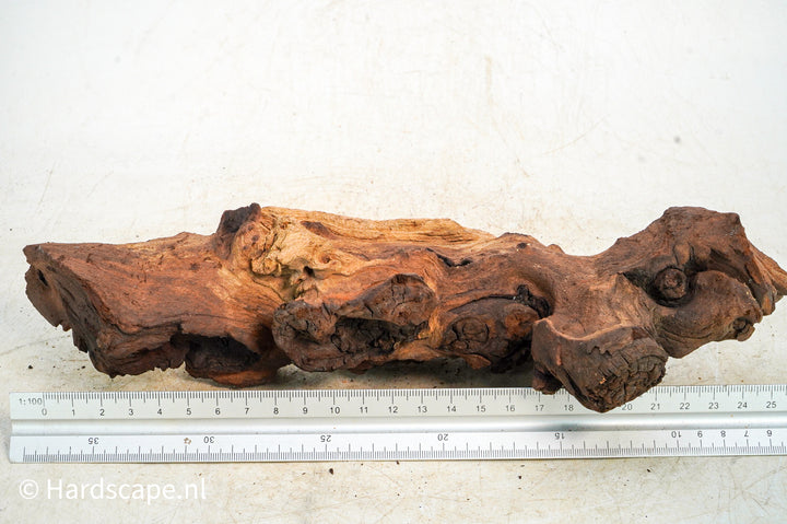 Mopani Hout 104 - Hardscape.nl