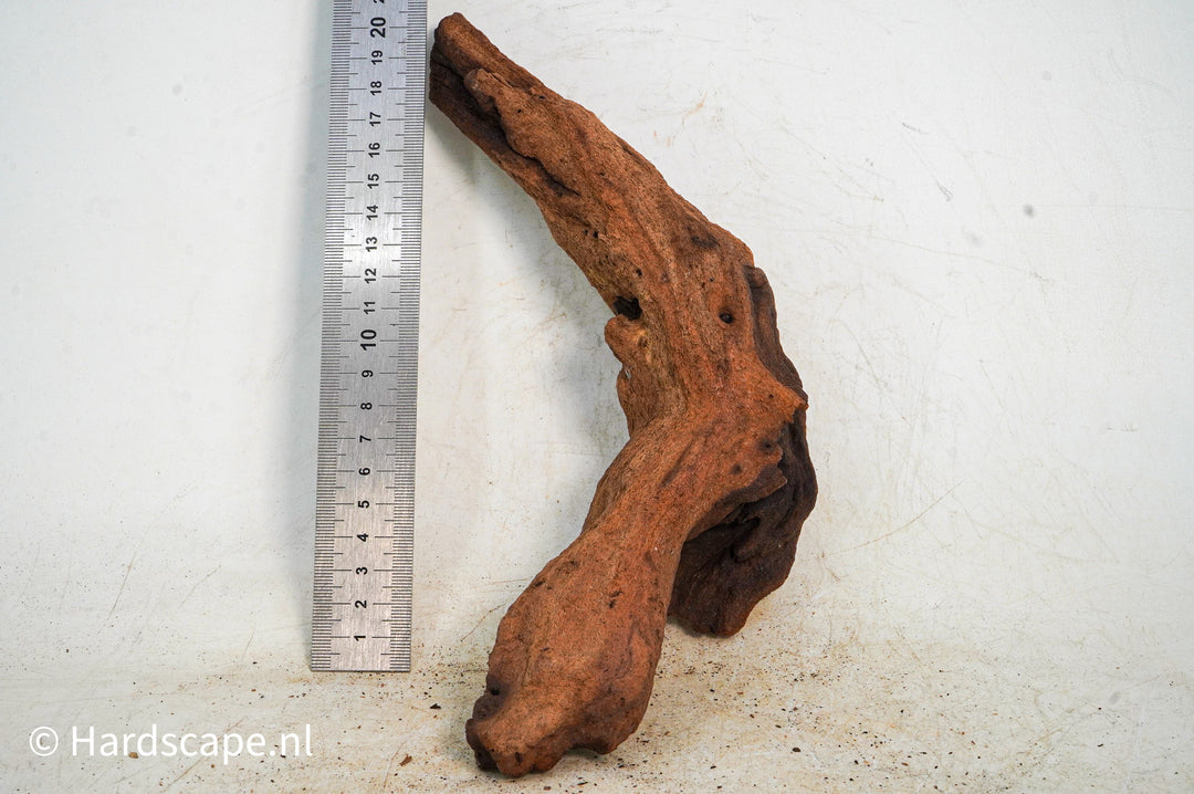 Mopani Hout 105 - Hardscape.nl