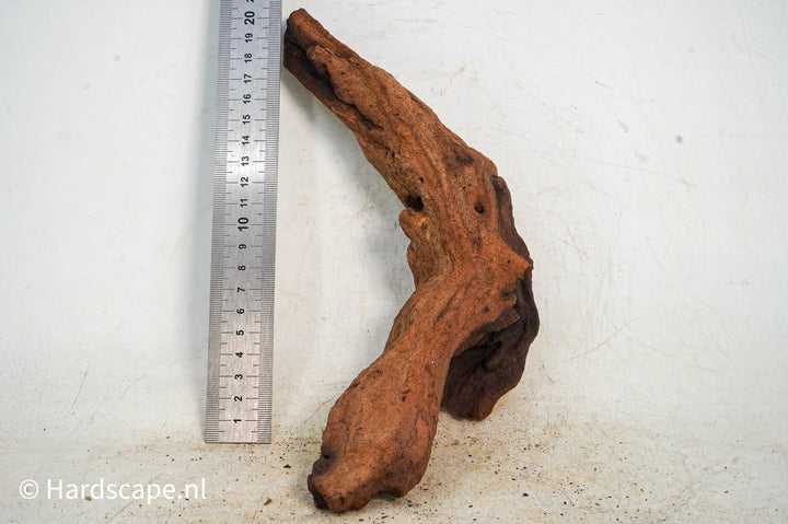 Mopani Hout 105 - Hardscape.nl