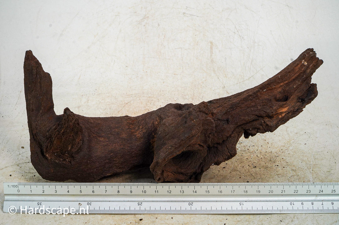 Mopani Hout 106 - Hardscape.nl