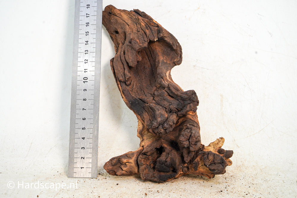 Mopani Hout 108 - Hardscape.nl