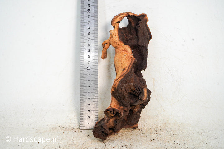 Mopani Hout 109 - Hardscape.nl