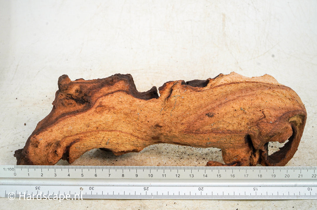 Mopani Hout 109 - Hardscape.nl