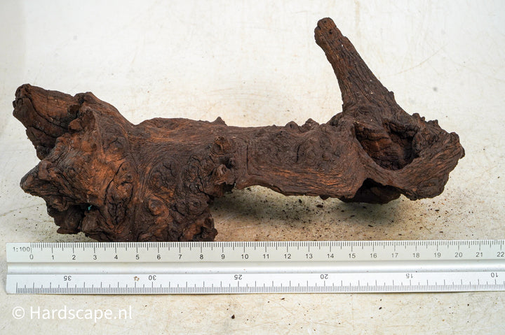 Mopani Hout 111 - Hardscape.nl
