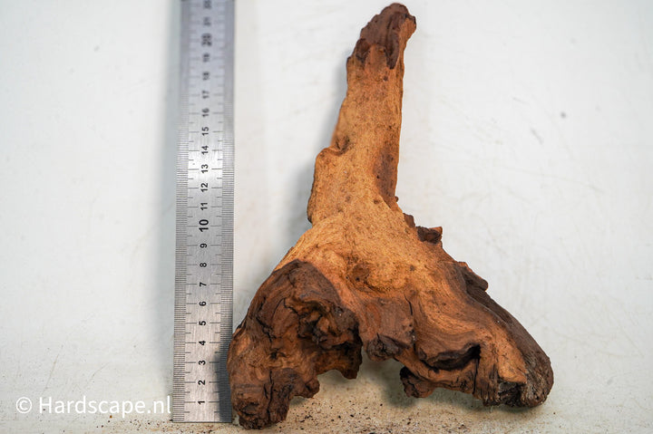 Mopani Hout 112 - Hardscape.nl