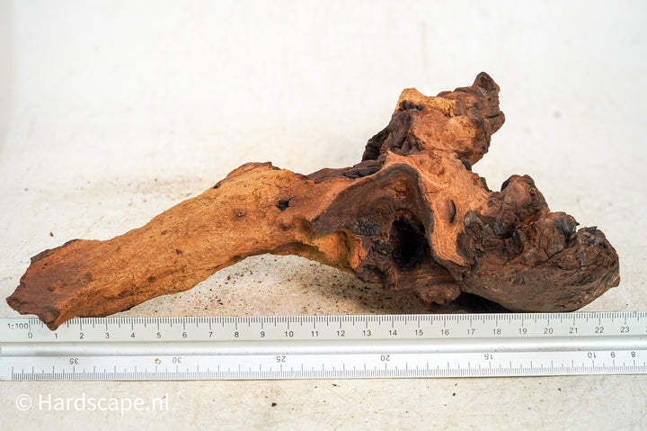 Mopani Hout 112 - Hardscape.nl