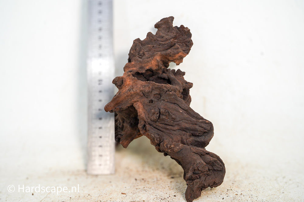 Mopani Hout 113 - Hardscape.nl