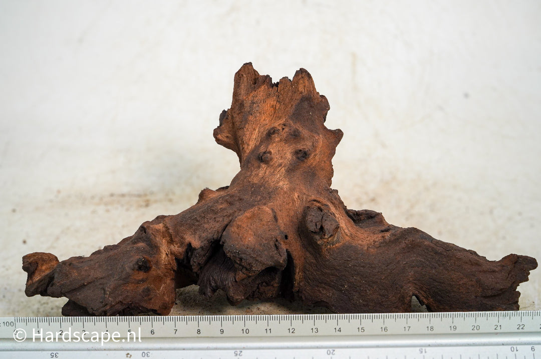 Mopani Hout 113 - Hardscape.nl