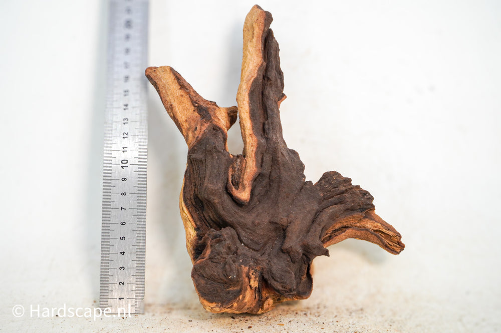 Mopani Hout 114 - Hardscape.nl