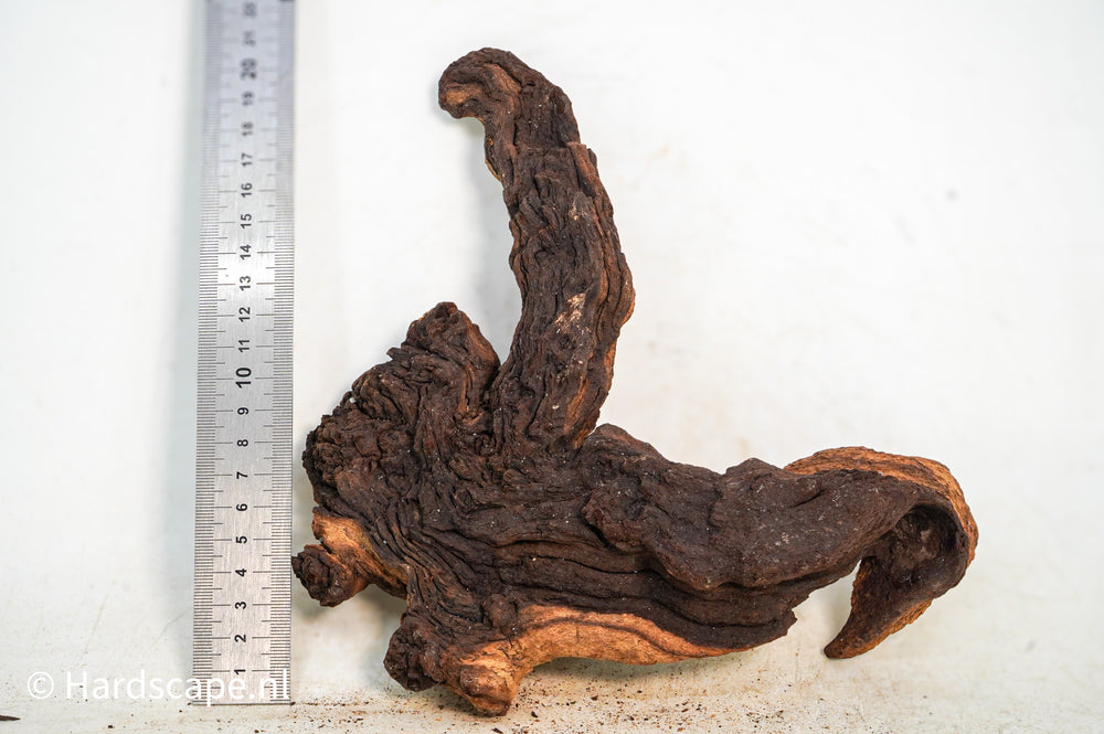 Mopani Hout 115 - Hardscape.nl