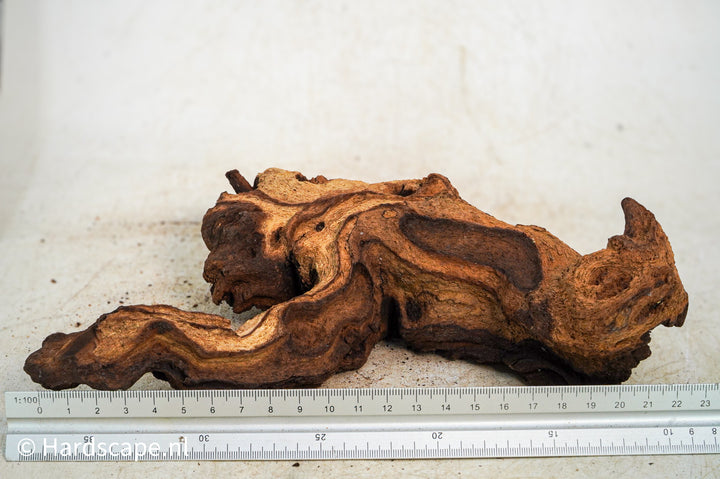 Mopani Hout 115 - Hardscape.nl