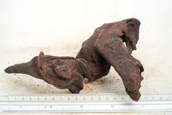 Mopani Hout 116 - Hardscape.nl