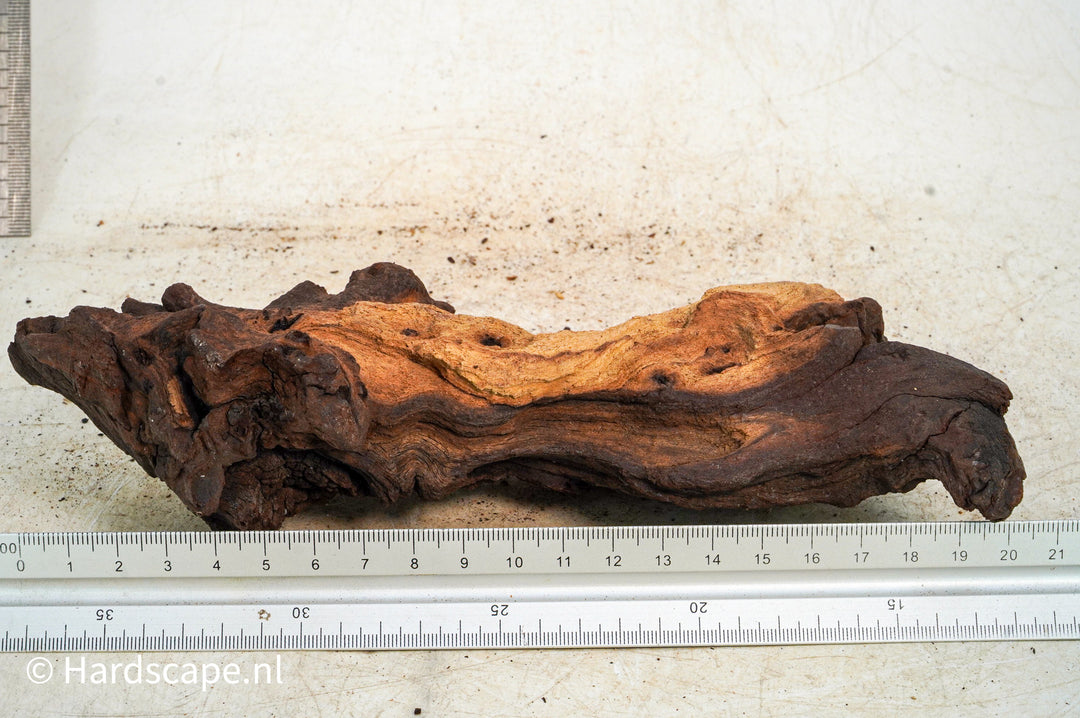 Mopani Hout 118 - Hardscape.nl