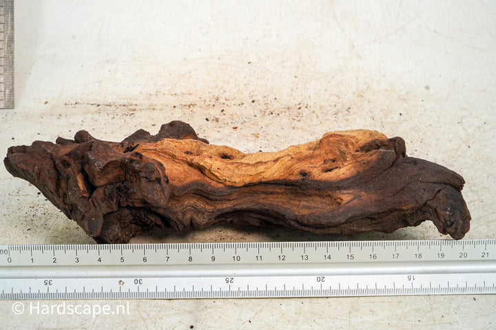 Mopani Hout 118 - Hardscape.nl