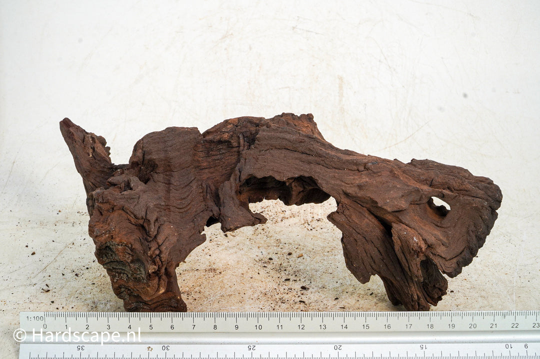 Mopani Hout 120 - Hardscape.nl