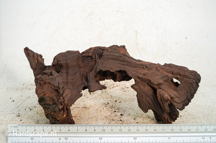 Mopani Hout 120 - Hardscape.nl