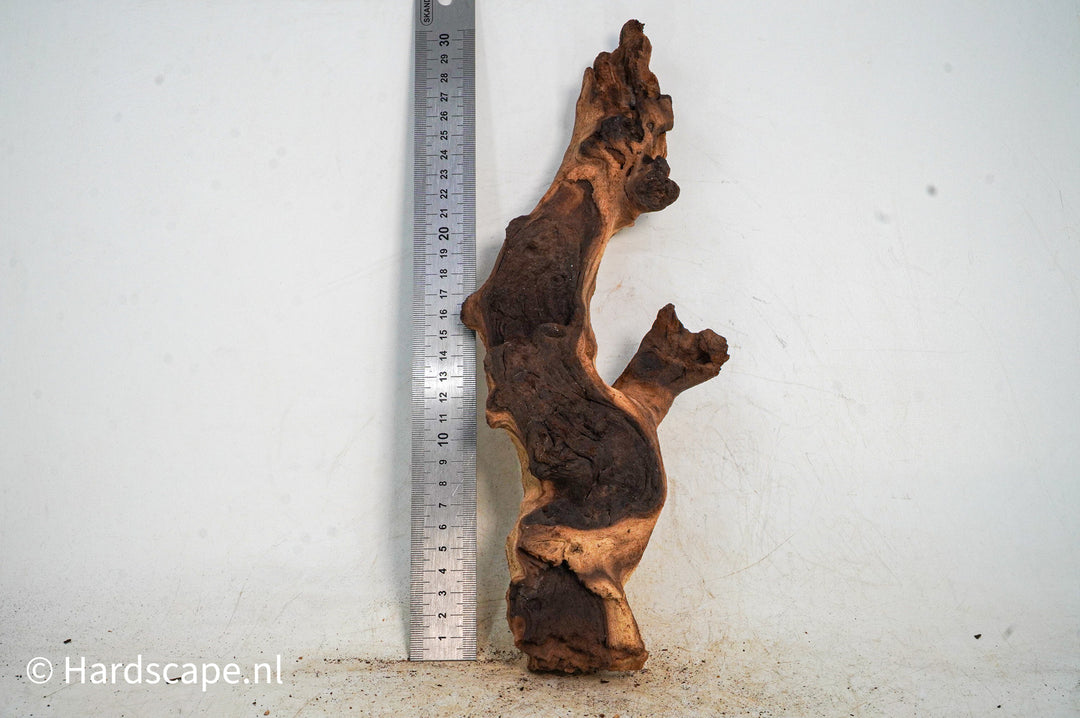 Mopani Hout 121 - Hardscape.nl