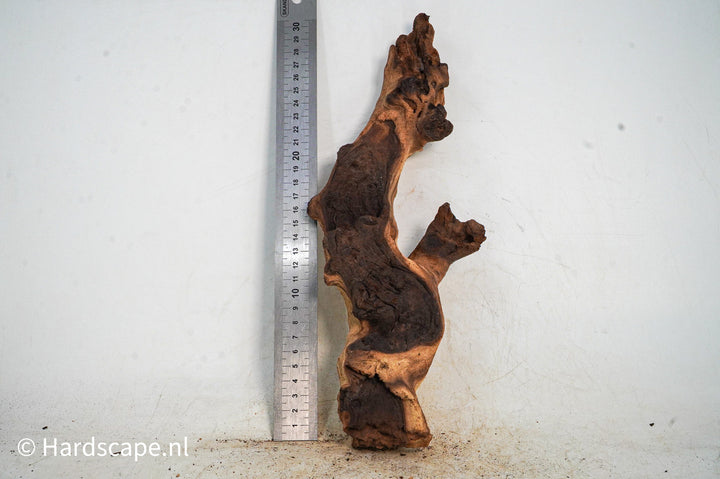 Mopani Hout 121 - Hardscape.nl