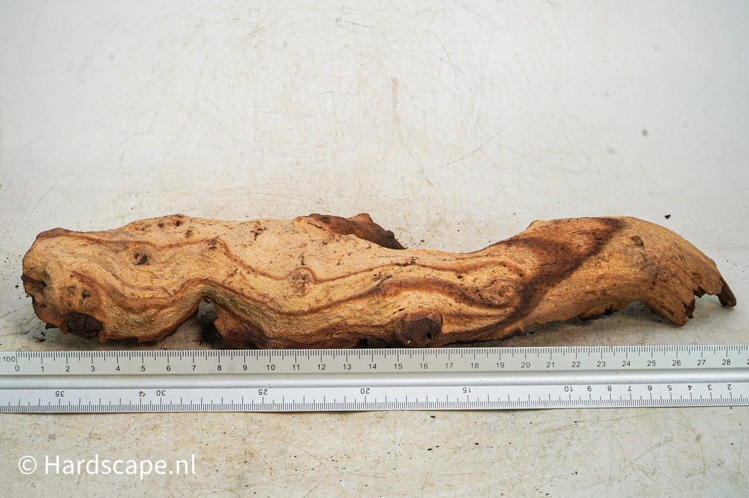 Mopani Hout 121 - Hardscape.nl