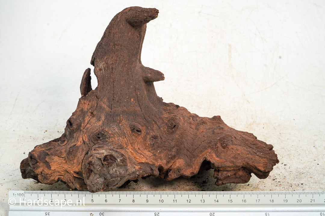 Mopani Hout 122 - Hardscape.nl